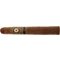 Perdomo 20th Anniversary Sungrown Pyramid