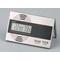 Digitaler Hygro- und Thermometer Silber (596552)