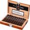 Dalay Reserva Maduro Short Robusto Kiste offen Detailbild