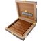 Daniel Marshall DM2 Red Series Torpedo GOLD im Reisehumidor (5er) offen