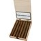 Corona Kiste offen