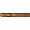 Perdomo 10th Anniversary Sun Grown Magnum Tubo