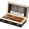 Short Robusto Kiste offen