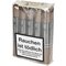 Chicos Bundle