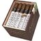 Medulla Robusto 50 x 5 Kiste offen