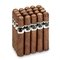 Asylum Cigars Schizo Robusto 50x5 20er Bundle