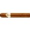 Davidoff Winston Churchill Robusto The Statesman
