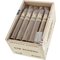 Total Flame Bright Line Old School (Torpedo) Kiste offen