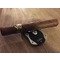Epic Gold Robusto Review