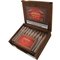 Kristoff Sumatra Robusto Kiste offen