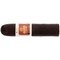 Dunhill Aged Maduro Short Robusto