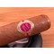 Warped Cigars Maestro del Tiempo 5712 Petit Robusto Tasting