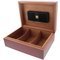 Zino graphic leaf Humidor rot offen (51000229)