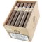 Principle Cigars Accomplice White Label Toro 25er Kiste offer