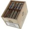 Principle Cigars Accomplice White Label Robusto Corojo Kiste offen