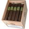 Maduro Robusto Kiste offen
