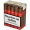 Condega Serie F Mini Robusto_Bundle