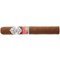 Cigarkings Creative Edition Dunkle Robusto