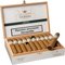 Villiger Do Brasil Claro Robusto Kiste offen