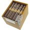 Regius Connecticut Robusto Kiste offen