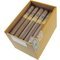 Regius Connecticut Gran Toro Kiste offen
