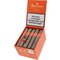 Montosa Robusto Kiste offen