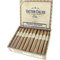 Victor Calvo Nicaragua US Shade Reserve Joseph Kiste offen