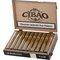 Cibao Connecticut Robusto Kiste offen