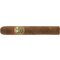 Cibao H. Robusto