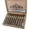 Cibao H. Robusto Kiste offen