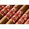 Joya de Nicaragua Antaño CT Robusto Stimmungsbild