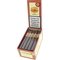 La Aurora Maduro 1985 Cetros Kiste offen