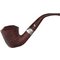 Peterson Irish Harp Modell B10 (17315)_0