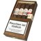 Casa Turrent Sampler Doble Robusto Assortment (4 Zigarren)