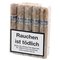 Domaine de Lavalette Premium Robusto (blaue Bauchbinde) 10er