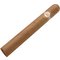 Robusto schräg