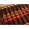 Rocky Patel Quarter Century Robusto Stimmungsbild
