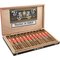 Leonel Limited Edition 2024 Year of the Dragon Toro Kiste offen