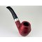 Rhodesian B Red sandblast Detailbild 3