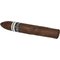 WR 1794 Washington Stick 2