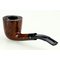 Charatan_Distinction_Int_15_02