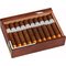ACE Prime Cigars Luciano Fiat Lux Intuition Kiste offen