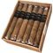 Leite & Alves Mediumfiller Corona Gorda Kiste offen