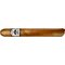 Foundation Cigars Charter OAK Connecticut Grande