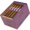 No. 2 Robusto Kiste offen schräg