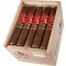 Robusto Kiste offen