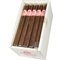 Seleccion Churchill Kiste offen