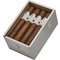 Gilbert de Montsalvat Signature Gran Robusto Kiste offen