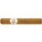 Best Buy Robusto