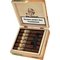 Robusto Claro Kiste offen
